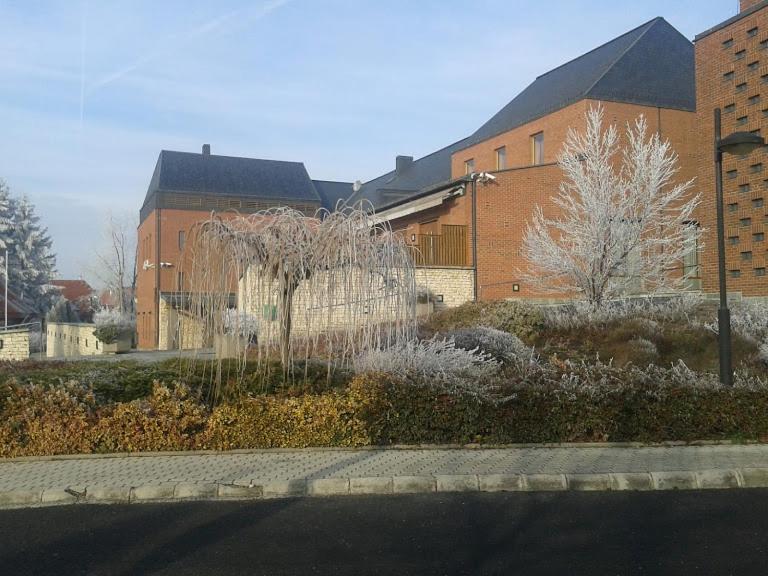 Park Vendeghaz Hotell Herend Exteriör bild